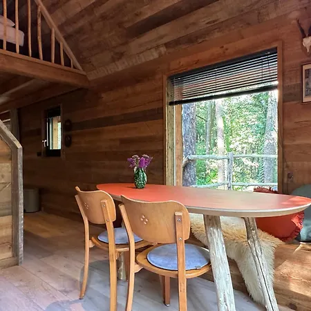 Bed En Boshuisjes * Oisterwijk