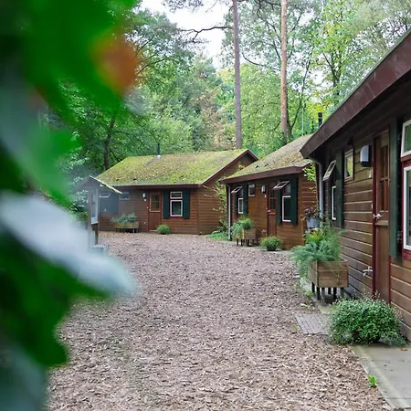 Prachtige By Bed En Boshuisjes Oisterwijk