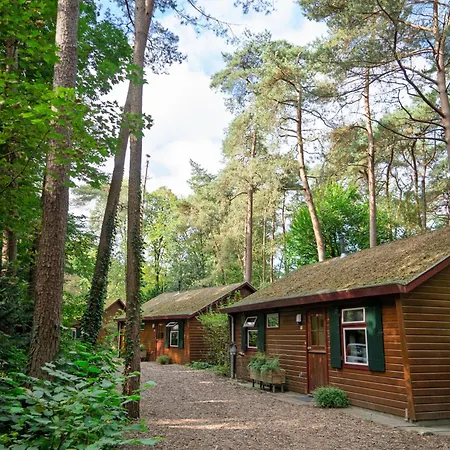 Semesterpark Bed En Boshuisjes