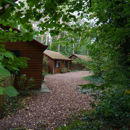 Holiday park Bed En Boshuisjes