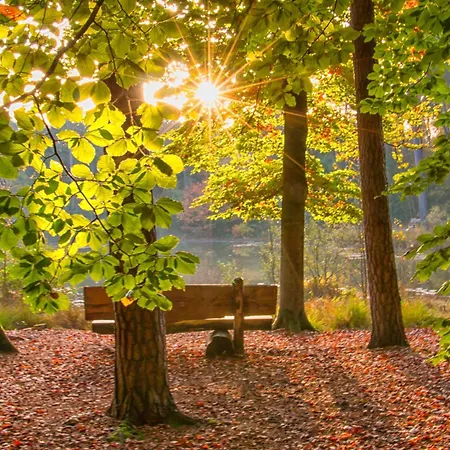 Semesterpark Bed En Boshuisjes Oisterwijk
