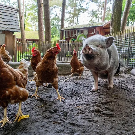 Bed En Boshuisjes Semesterpark *