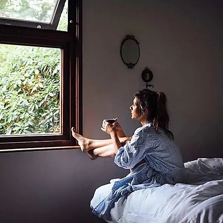 Cozy By Bed En Boshuisjes Üdülőpark Oisterwijk