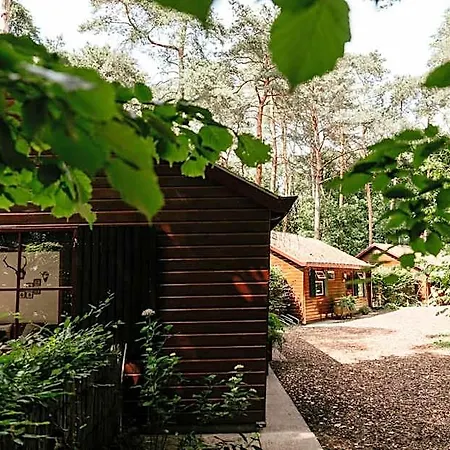 Cozy By Bed En Boshuisjes Feriepark Oisterwijk