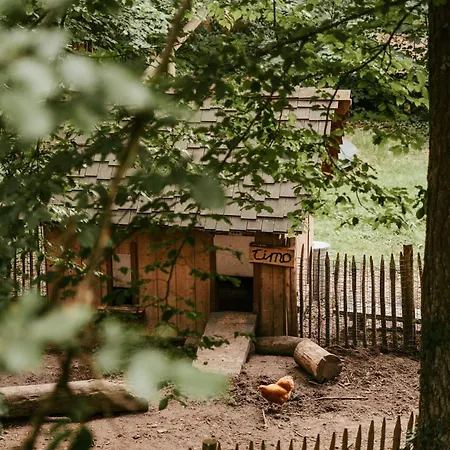 Cozy By Bed En Boshuisjes * Oisterwijk