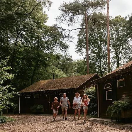 Feriepark Cozy By Bed En Boshuisjes Oisterwijk