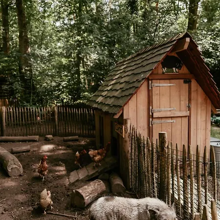 Üdülőpark Cozy By Bed En Boshuisjes