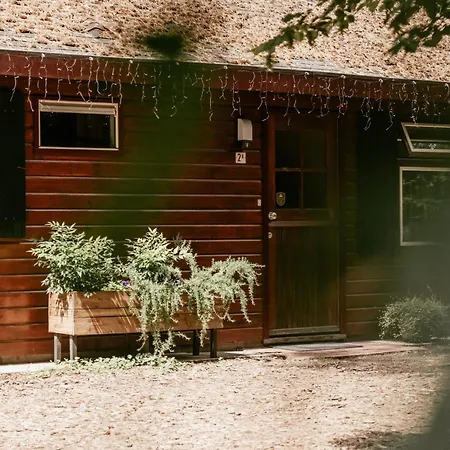 Feriepark Cozy By Bed En Boshuisjes