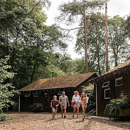 Cozy By Bed En Boshuisjes