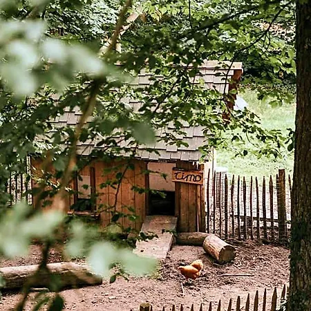 Cozy By Bed En Boshuisjes