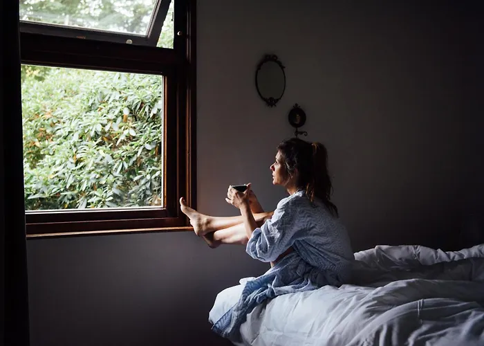 Semesterpark Bed En Boshuisjes *