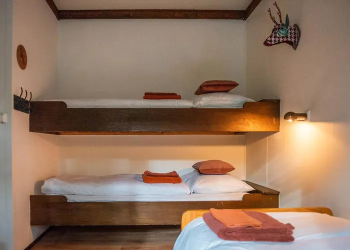 Semesterpark Bed En Boshuisjes Oisterwijk