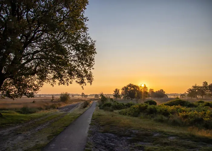 Üdülőpark Bed En Boshuisjes
