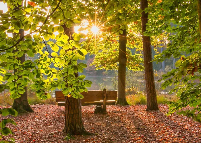Üdülőpark Bed En Boshuisjes Oisterwijk